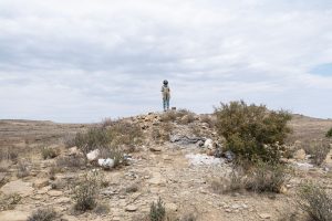 LOS NOGALES_ORBITAL